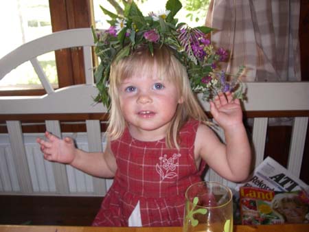 2008-07-30 sommar 059