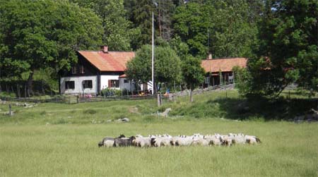 bild1 copy